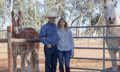 Photo of Andrew and Heather Janz