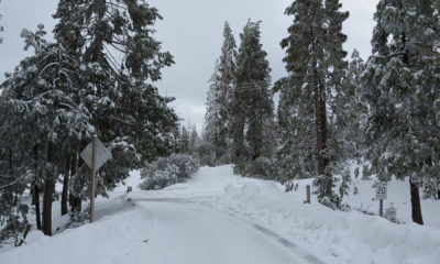 Photo of snow on Highway 168 below Shaver Lake