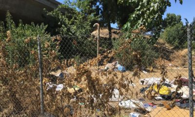 Photo of trash and weeds along a Fresno freeway