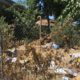 Photo of trash and weeds along a Fresno freeway