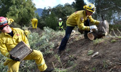 Photo of a fire prevention crew hauling away sections of tree they cut down