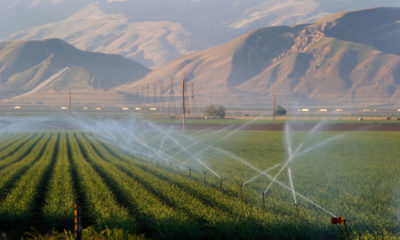 Photo of irrigation sprinkers watering a farmOhi