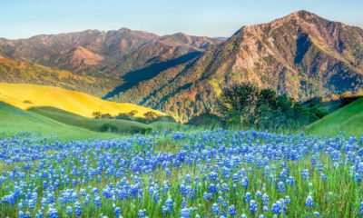 Photo of Big Sur