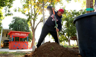 Image of a Fresno State student doing landscape work on campus