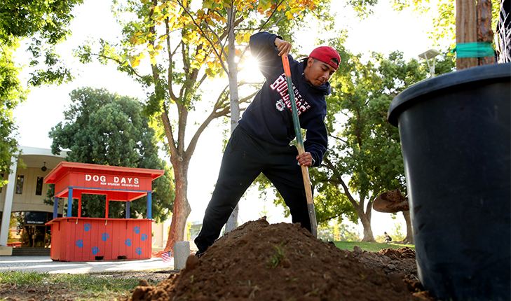 Image of a Fresno State student doing landscape work on campus